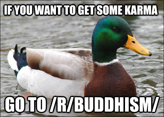 if you want to get some karma go to rbuddhism - Actual Advice Mallard
