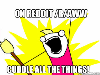 on reddit raww cuddle all the things - All The Things