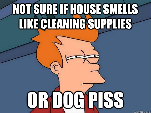 not sure if house smells like cleaning supplies or dog piss - Futurama Fry