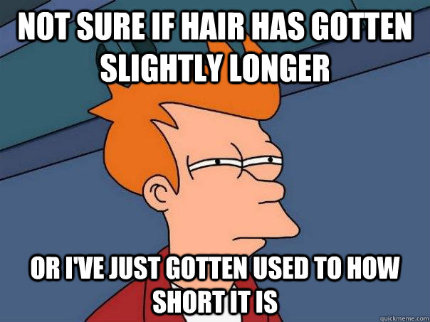 not sure if hair has gotten slightly longer or ive just got - Futurama Fry