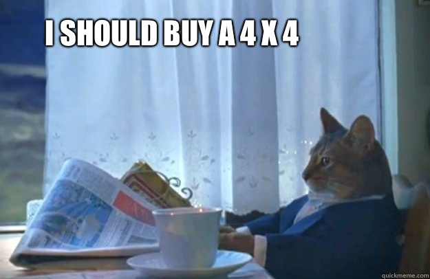 I should buy a 4 x 4 - Sophisticated Cat