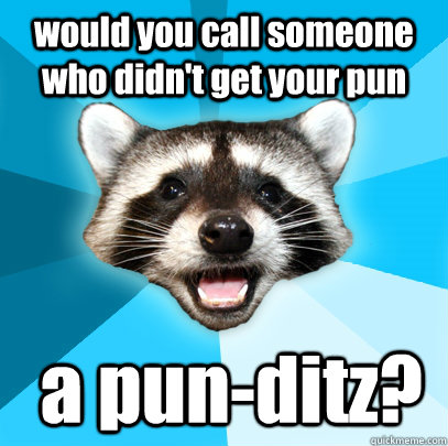 would you call someone who didnt get your pun a punditz - Lame Pun Coon