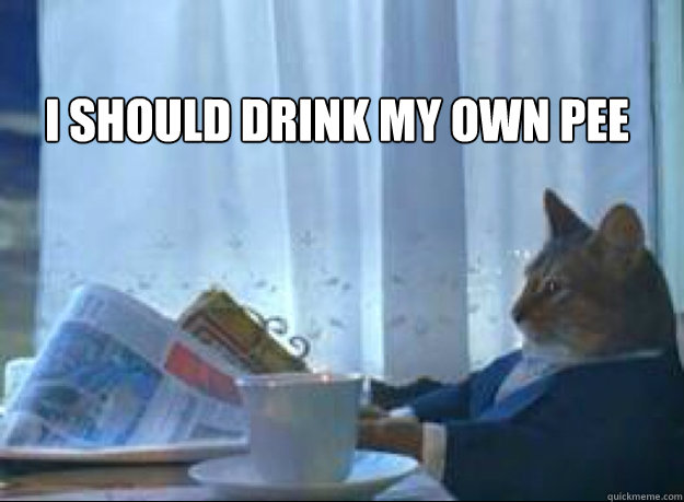 i should drink my own pee - I should buy a boat cat