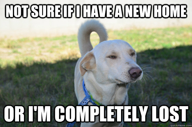 not sure if i have a new home or im completely lost - WILEY