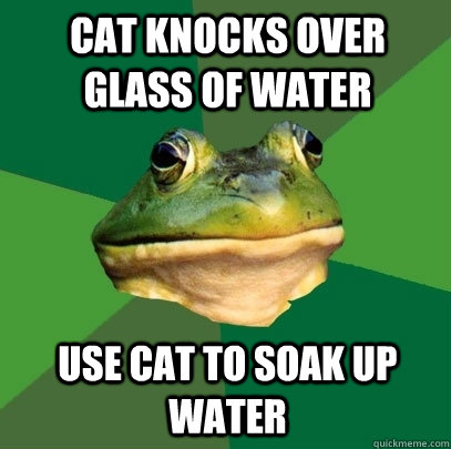 cat knocks over glass of water use cat to soak up water - Foul Bachelor Frog