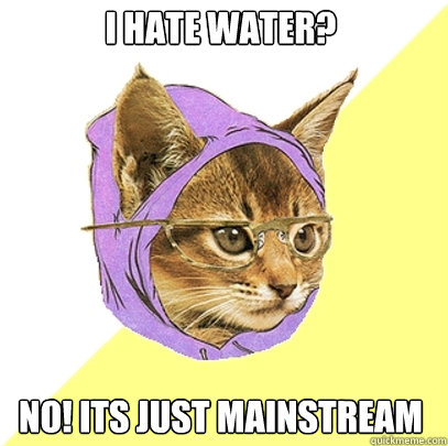 i hate water no its just mainstream - Hipster Kitty
