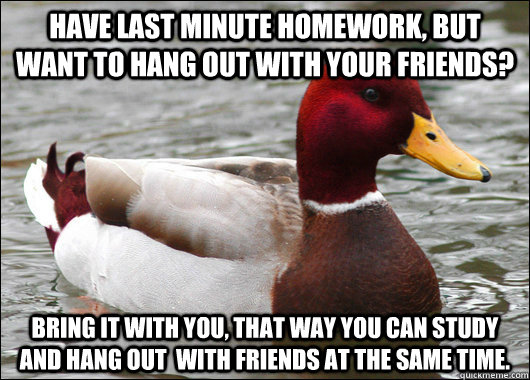 have last minute homework but want to hang out with your fr - Malicious Advice Mallard
