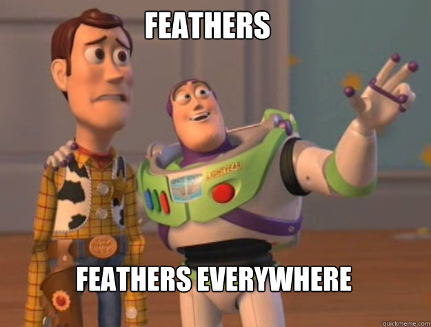 feathers feathers everywhere - buzz