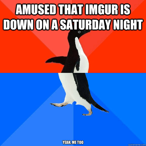 amused that imgur is down on a saturday night yeah me too - Socially Awesome Awkward Penguin