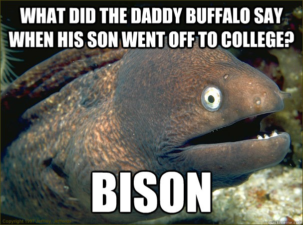 what did the daddy buffalo say when his son went off to coll - Bad Joke Eel