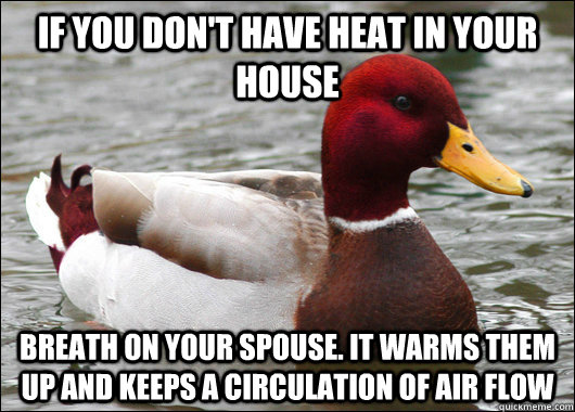 if you dont have heat in your house breath on your spouse - Malicious Advice Mallard