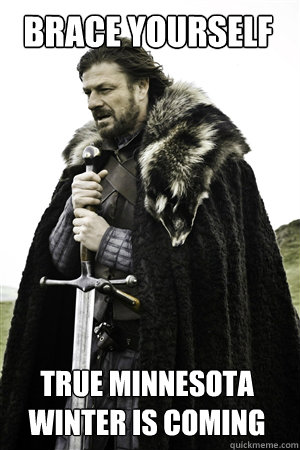 brace yourself true minnesota winter is coming - NED STARK