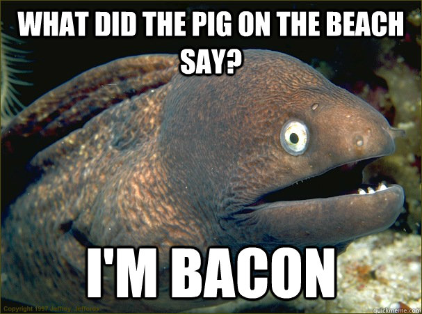 what did the pig on the beach say im bacon - Bad Joke Eel