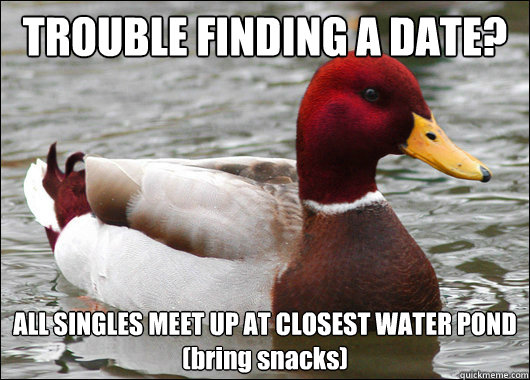 trouble finding a date all singles meet up at closest water - Malicious Advice Mallard