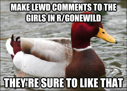 make lewd comments to the girls in rgonewild theyre sure t - Malicious Advice Mallard