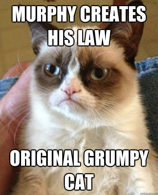 murphy creates his law original grumpy cat - Grumpy cat