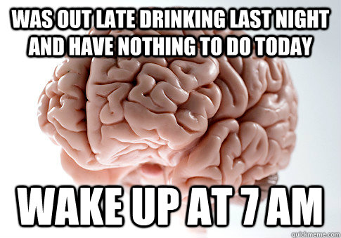 was out late drinking last night and have nothing to do toda - Scumbag Brain