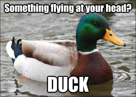 something flying at your head duck - Actual Advice Mallard