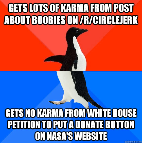 gets lots of karma from post about boobies on rcirclejerk - Socially Awesome Awkward Penguin