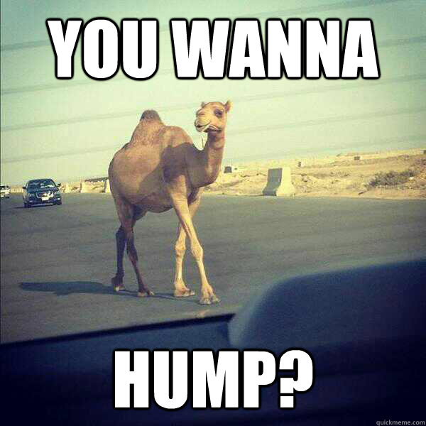 you wanna hump -