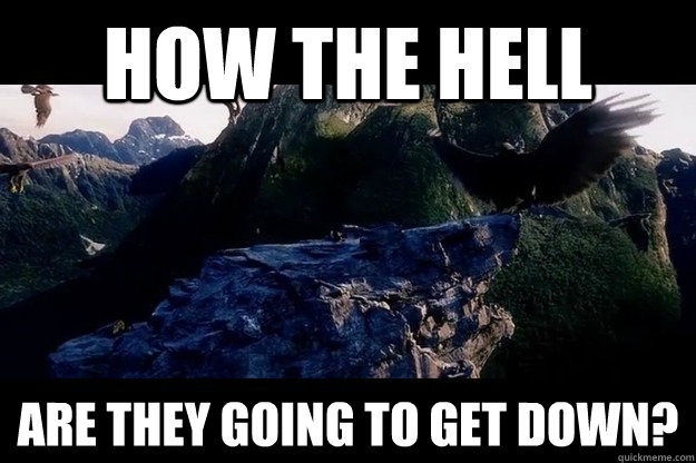 how the hell are they going to get down - Illogical Hobbit