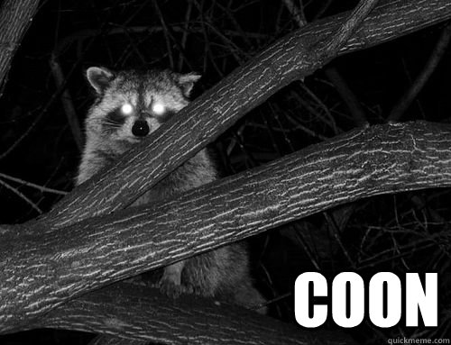 coon -