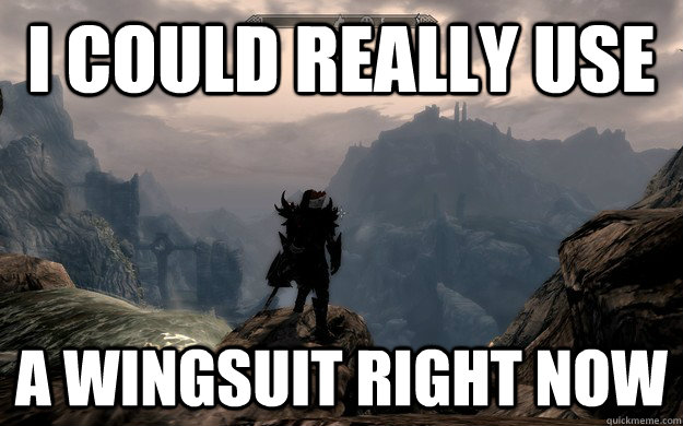 i could really use a wingsuit right now -