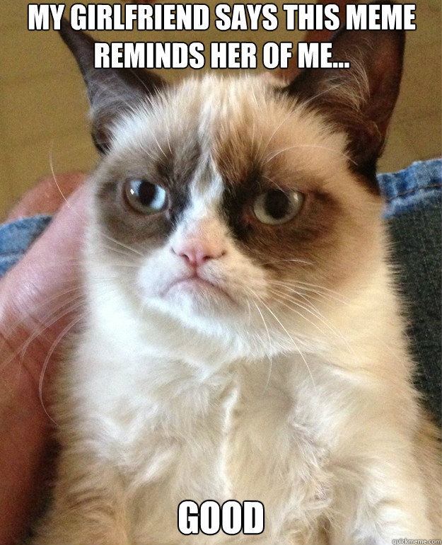 my girlfriend says this meme reminds her of me good - Grumpy Cat