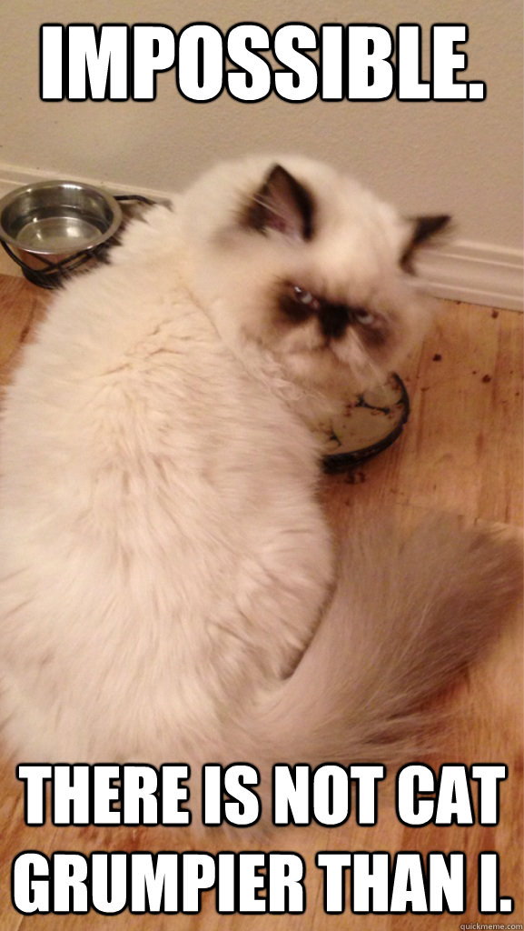 impossible there is not cat grumpier than i -
