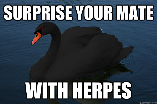 surprise your mate with herpes - Bad Releationship Advice Swan