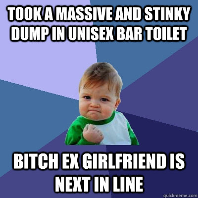 took a massive and stinky dump in unisex bar toilet bitch ex - Success Kid