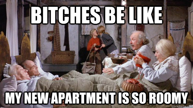 bitches be like my new apartment is so roomy -