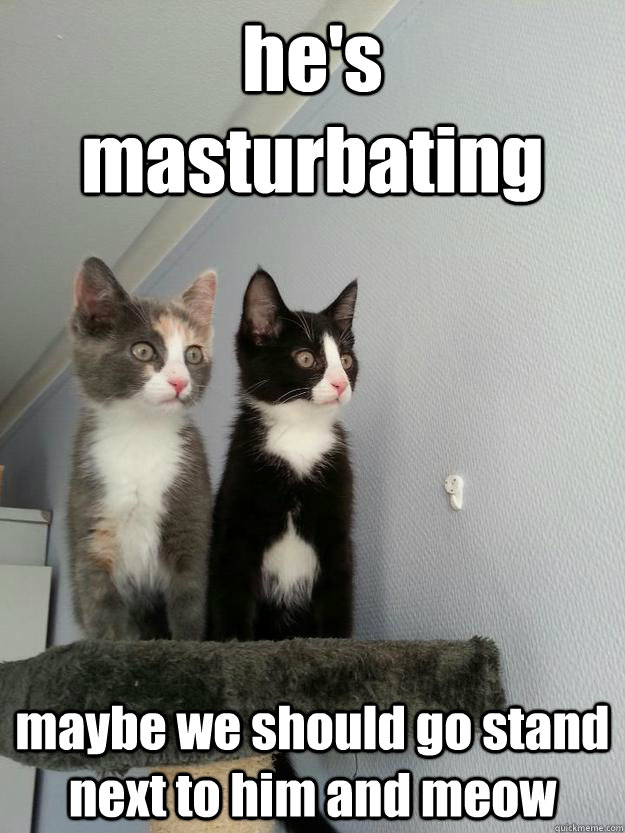 hes masturbating maybe we should go stand next to him and m -