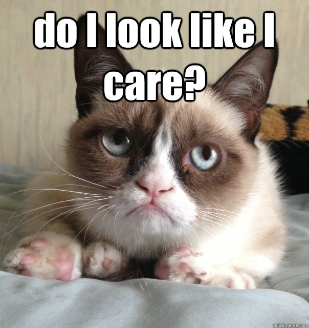 do i look like i care - Grumpy cat