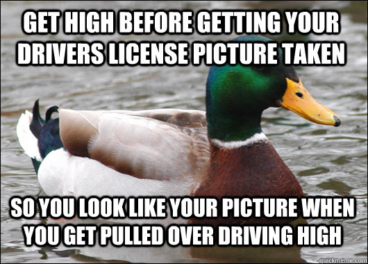 get high before getting your drivers license picture taken s - Actual Advice Mallard