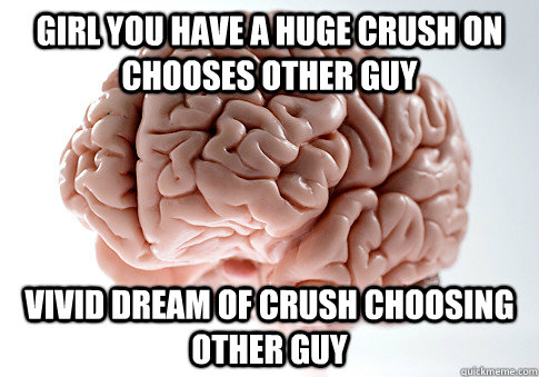 girl you have a huge crush on chooses other guy vivid dream - Scumbag Brain
