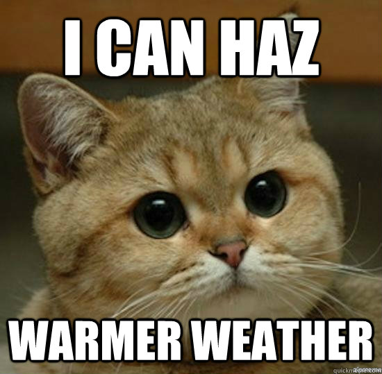i can haz warmer weather - Motherfucking game