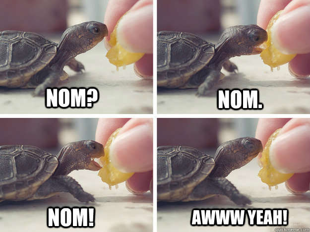 nom nom nom awww yeah -