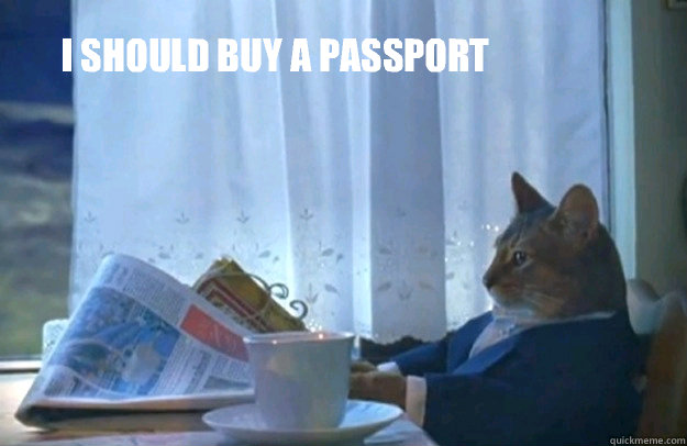 i should buy a passport - Sophisticated Cat