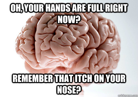 oh your hands are full right now remember that itch on you - Scumbag Brain
