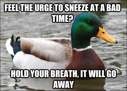 feel the urge to sneeze at a bad time hold your breath it - Actual Advice Mallard