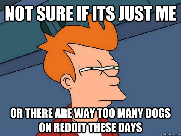 not sure if its just me or there are way too many dogs on re - Futurama Fry