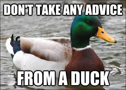 dont take any advice from a duck - Actual Advice Mallard