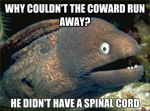 why couldnt the coward run away he didnt have a spinal co - Bad Joke Eel