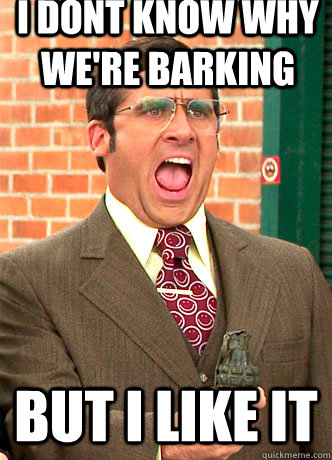 i dont know why were barking but i like it - Brick Yelling