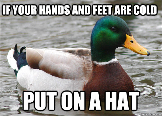 if your hands and feet are cold put on a hat - Actual Advice Mallard