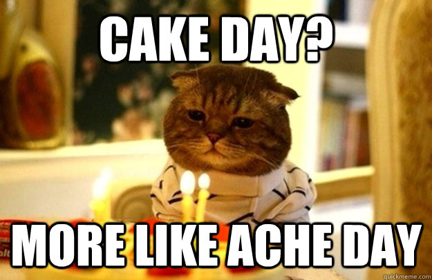 cake day more like ache day - sad cat