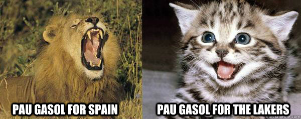 pau gasol for spain pau gasol for the -