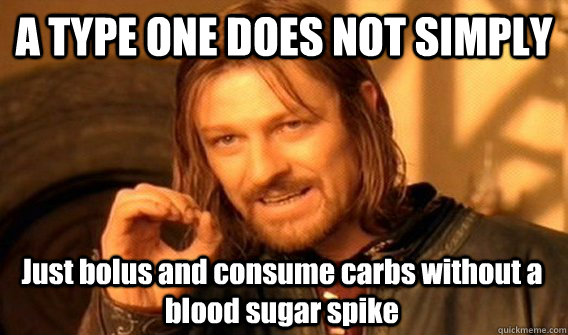 a type one does not simply just bolus and consume carbs with - One Does Not Simply