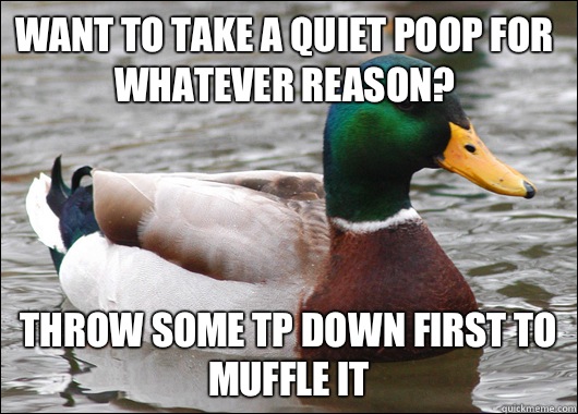 Want to take a quiet poop for whatever reason Throw some TP - Actual Advice Mallard